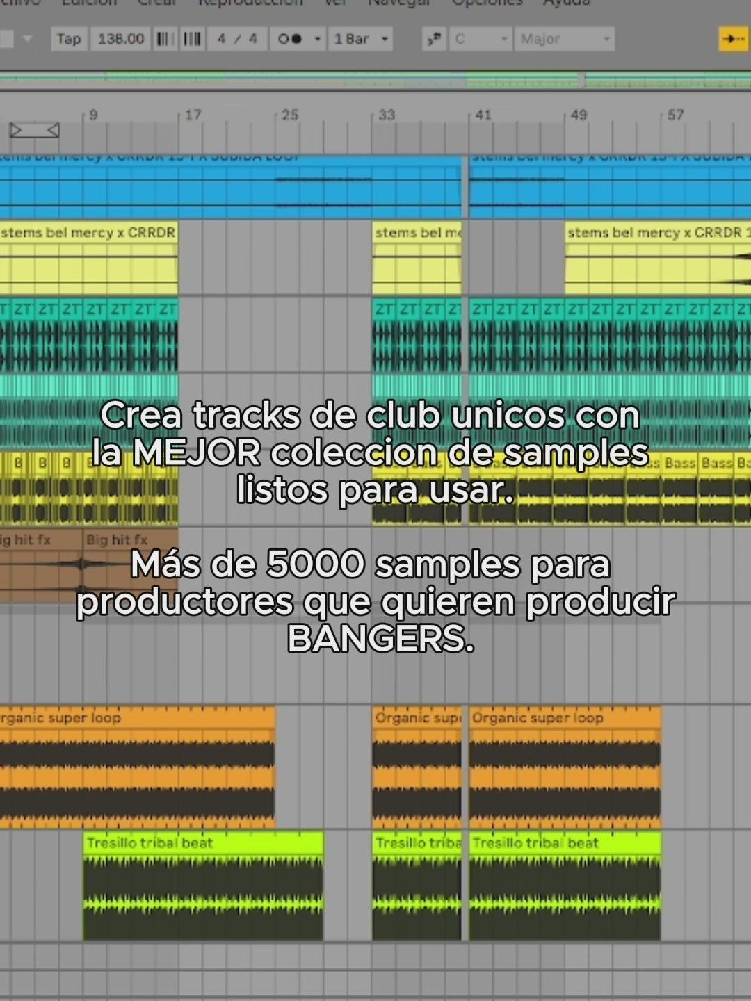 CRRDR ULTIMATE SAMPLE PACK COLLECTION 2026